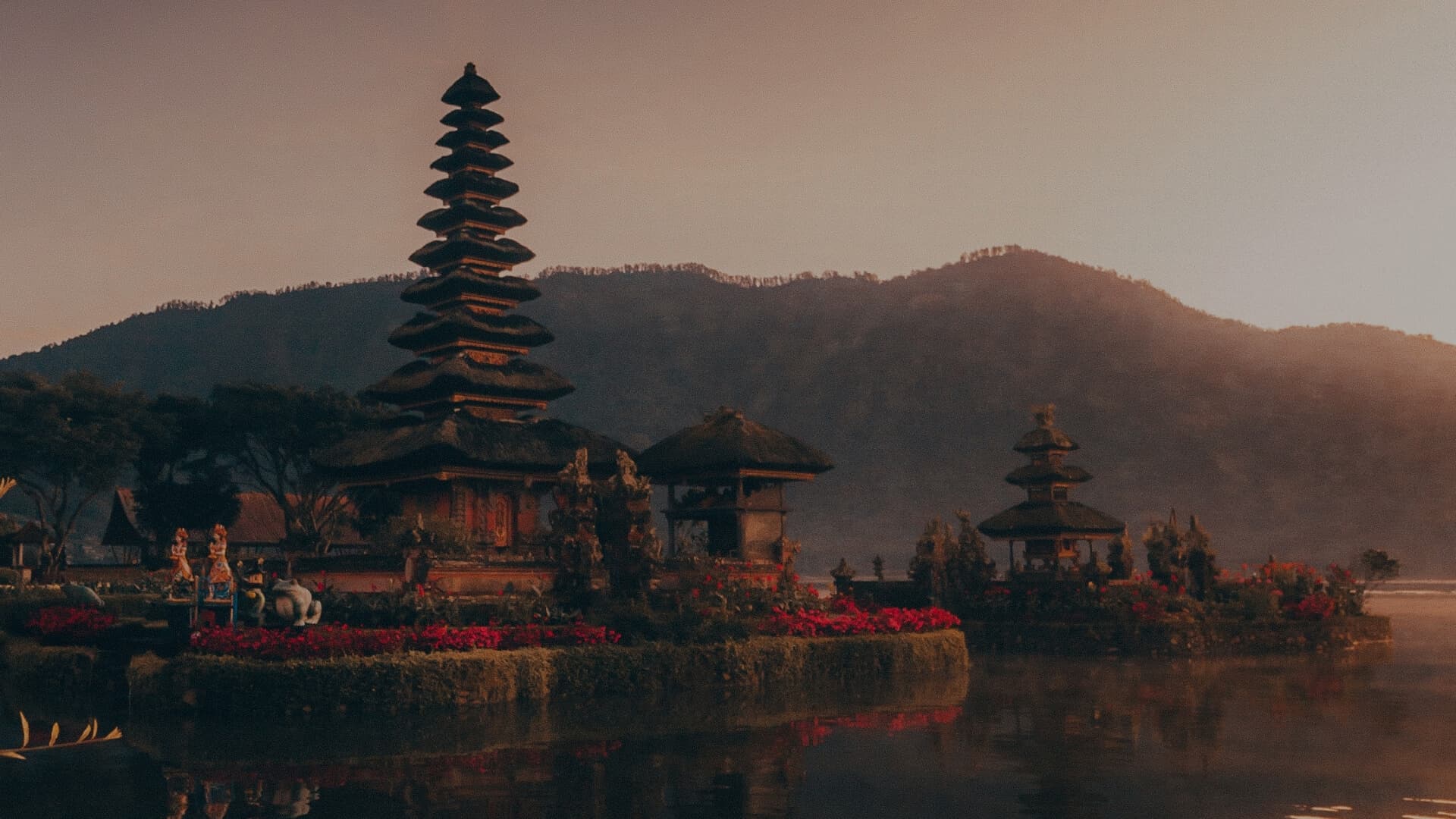 RexPeritus Law Firm - Hero Background